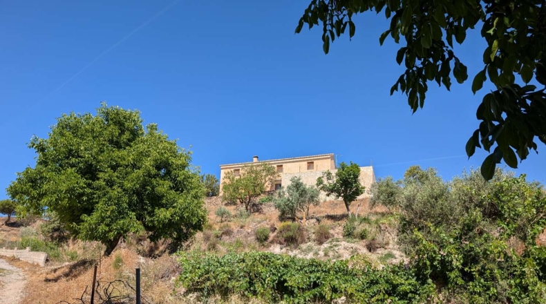 Granada - Arenas del Rey - 60000m2