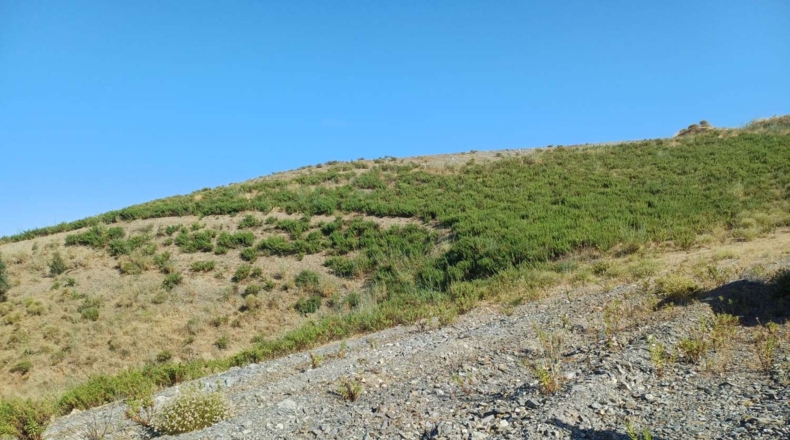 Málaga - Viñuela - 20000m2