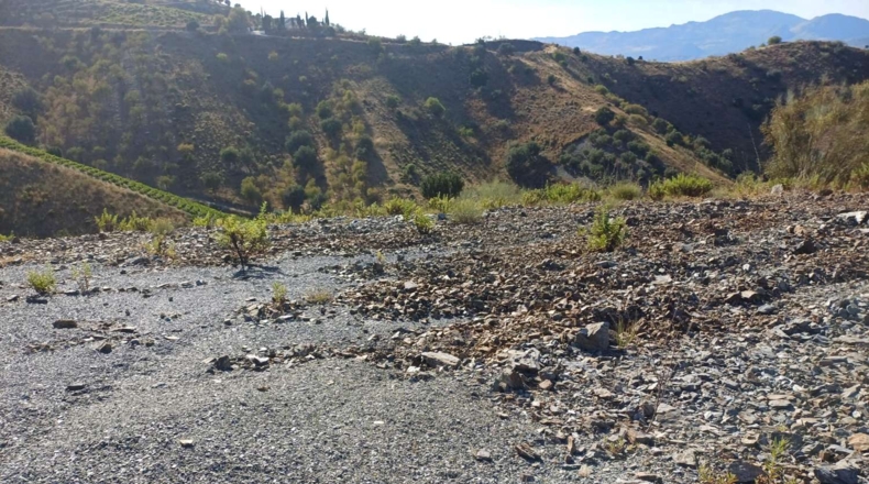 Málaga - Viñuela - 20000m2