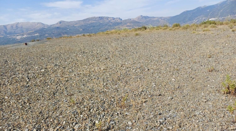Málaga - Viñuela - 20000m2