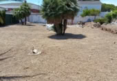 Suelo urbano en venta en la Carrer de Torredembarra, Cubelles, ref: TR87498 foto