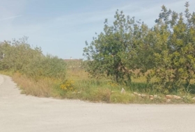 Amposta 3377&nbsp;m²