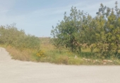 Terreno no urbanizable en venta en la España, Amposta, ref: TR417276 foto