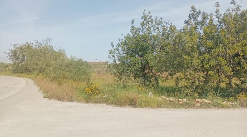 Tarragona - Amposta - 3377m2