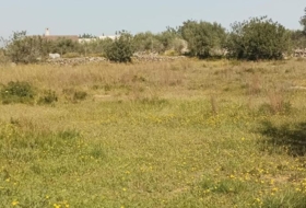 Amposta 3377&nbsp;m²