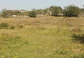Terreno no urbanizable en venta en la España, Amposta, ref: TR417276 foto