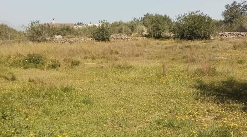 Tarragona - Amposta - 3377m2