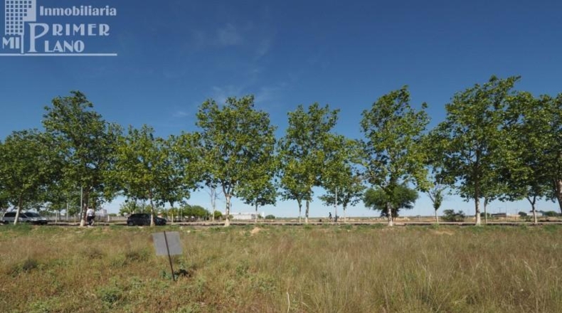 Albacete - Villarrobledo - 160m2