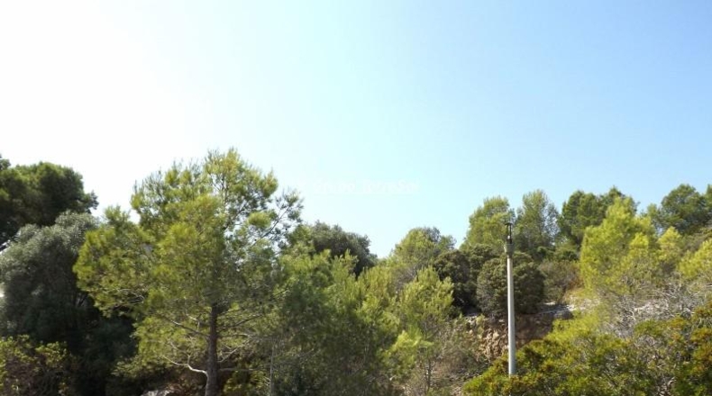Tarragona - Calafell - 613m2