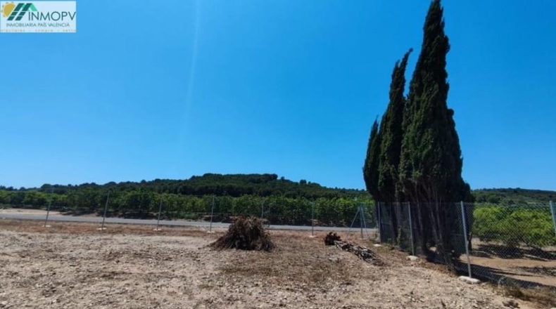 Castellon - Vinaròs - 848m2