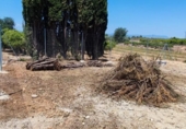 Terreno no urbanizable en venta en la España, Vinaròs, ref: TR417280 foto