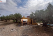 Terreno no urbanizable en venta en la España, l'Ampolla, ref: TR417281 foto