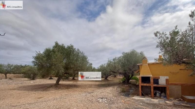 Tarragona - l'Ampolla - 6102m2