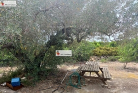 l'Ampolla 6102&nbsp;m²