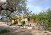 Terreno no urbanizable en venta en la España, l'Ampolla, ref: TR417281 foto