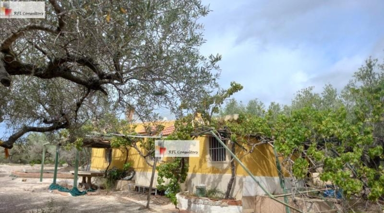 Tarragona - l'Ampolla - 6102m2