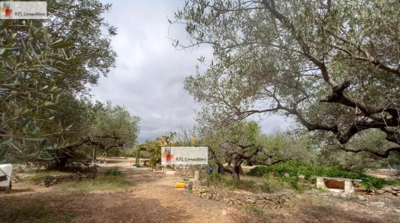 Tarragona - l'Ampolla - 6102m2