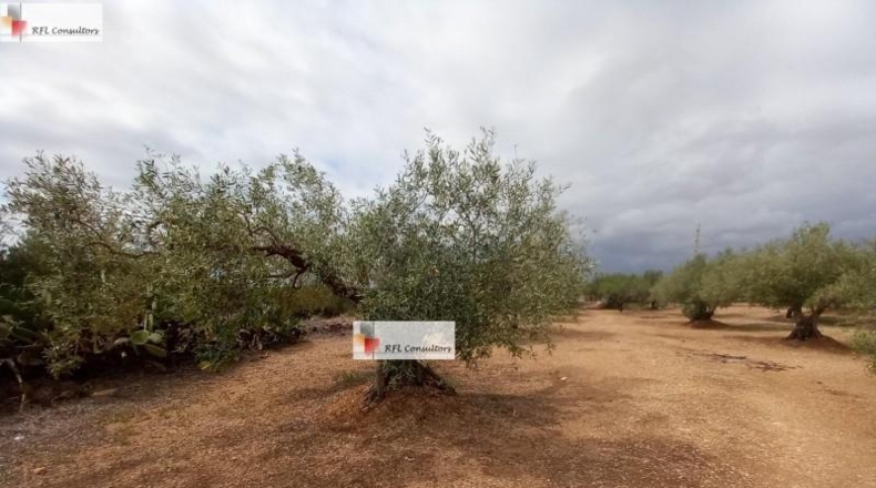 Tarragona - l'Ampolla - 6102m2