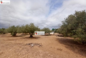 l'Ampolla 6102&nbsp;m²