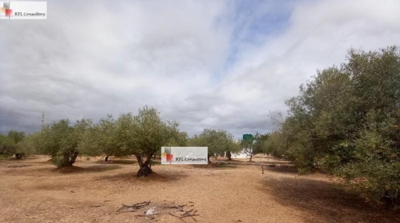 Tarragona - l'Ampolla - 6102m2