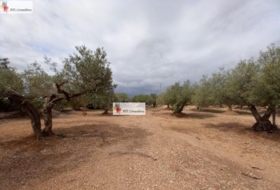 l'Ampolla 6102&nbsp;m²
