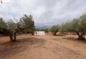 Terreno no urbanizable en venta en la España, l'Ampolla, ref: TR417281 foto