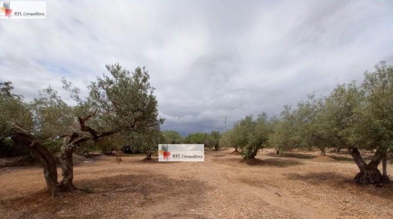 Tarragona - l'Ampolla - 6102m2