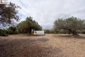 l'Ampolla 6102&nbsp;m²