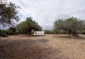 Terreno no urbanizable en venta en la España, l'Ampolla, ref: TR417281 foto