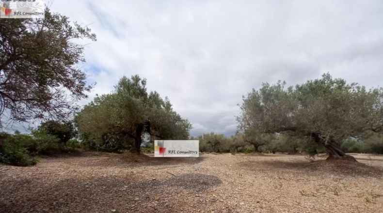 Tarragona - l'Ampolla - 6102m2