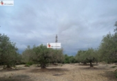 Terreno no urbanizable en venta en la España, l'Ampolla, ref: TR417281 foto