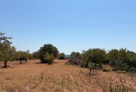 Sierra Engarcerán 33896&nbsp;m²
