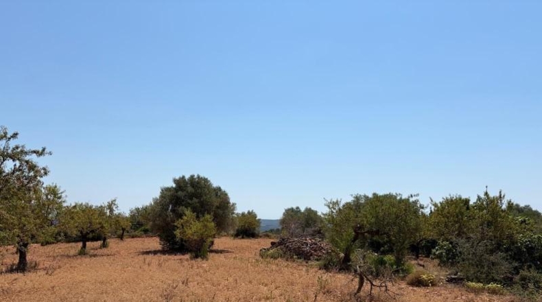 Castellon - Sierra Engarcerán - 33896m2