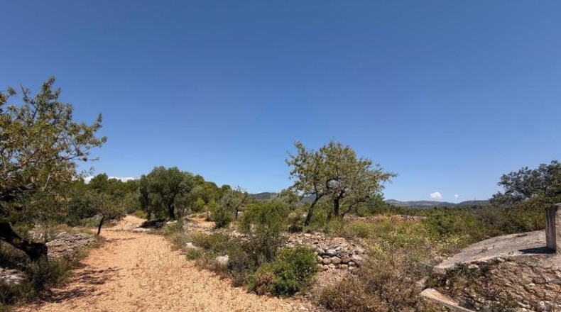 Castellon - Sierra Engarcerán - 33896m2