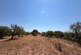Sierra Engarcerán 33896&nbsp;m²