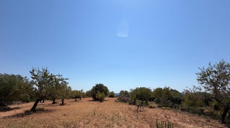 Castellon - Sierra Engarcerán - 33896m2