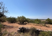Terreny no urbanitzable en venda a la España, la Serra d'en Galceran, ref.: TR417282 foto