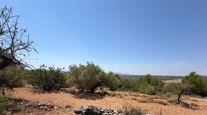 Castellon - Sierra Engarcerán - 33896m2