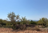 Terreny no urbanitzable en venda a la España, la Serra d'en Galceran, ref.: TR417282 foto