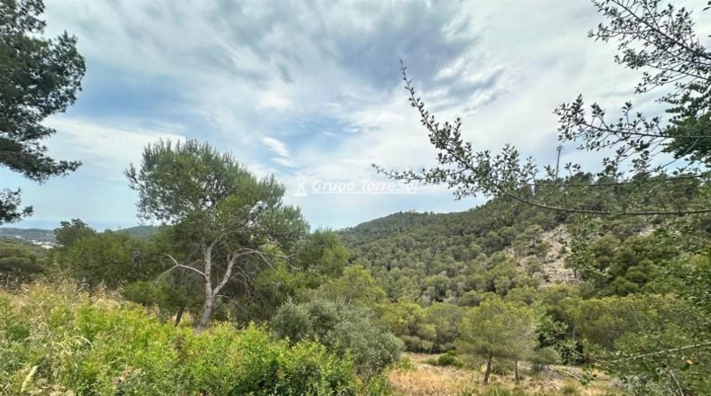 Barcelona - la Gornal - 896m2