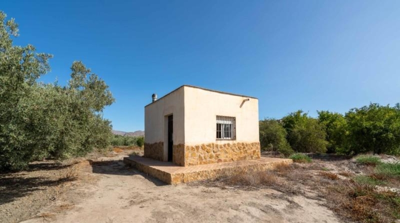 Almeria - Alsodux - 1950m2
