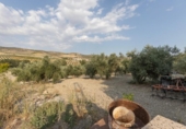 Casa de camp amb terreny en venda a la España, Alhama de Granada, ref.: TR417285 foto
