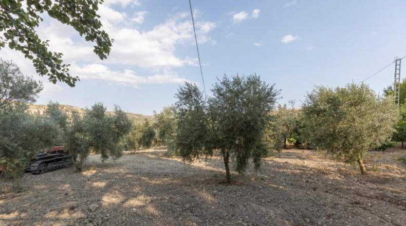 Granada - Alhama de Granada - 66m2