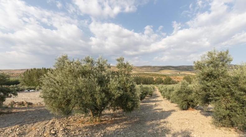 Granada - Alhama de Granada - 66m2
