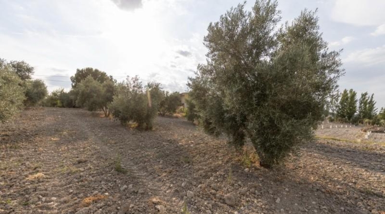 Granada - Alhama de Granada - 66m2