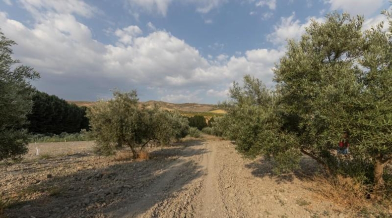 Granada - Alhama de Granada - 66m2