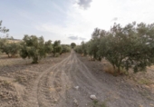Casa de camp amb terreny en venda a la España, Alhama de Granada, ref.: TR417285 foto