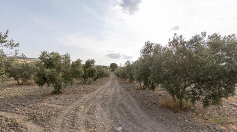 Granada - Alhama de Granada - 66m2