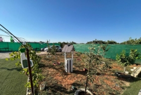 Foto 15