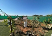 Casa con terreno en venta en la España, Brenes, ref: TR417286 foto